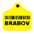 Brabov icon