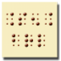 Braille icon