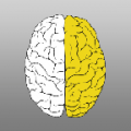 BRAIN-TRAIN icon