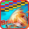Bricks Soccer icon