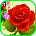 Bubble Rose 4.0.4