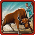 Bull Fighter Champion Matador icon