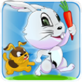 Bunnix icon