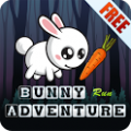 Bunny Run Adventure icon