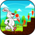 Bunny Run 2.9