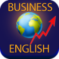 Business English 6