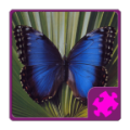 Butterfly Puzzle icon