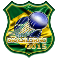 Campeonato Brasileiro 2015 icon