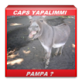 Caps Yapma 4