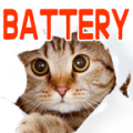 Cat Battery icon