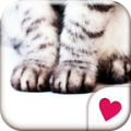 Cat Hands[Homee ThemePack] icon