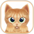 Cat LivePet Wallpaper HD icon