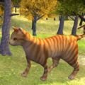 Cat Simulator 3D icon