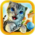 Cat Simulator icon