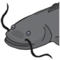 CatfishTactics icon