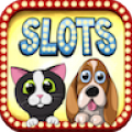 Cats vs Dogs icon