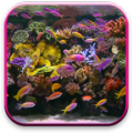 Aquarium 3.0