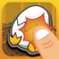 ChickenEggs icon