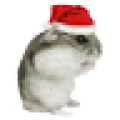 ChristmasHamsterSticker icon