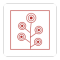 Circlesquare icon