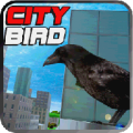 City Bird 1.0