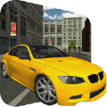 City Car Driving 1.046