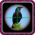 City Crow Hunting 3D icon