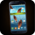 Cockroach in phone icon