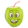 cocovoize icon
