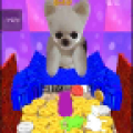 Coin Dog 1.01