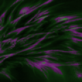 Color Dragon L. Wallpaper FREE icon