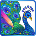 Colorfeel 1.1.8
