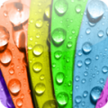 Colors Wallpapers for Chat icon