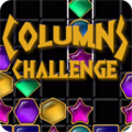 Columns Challenge 2.1.1