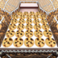 Cookie Dozer icon