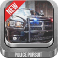 CRAZY POLICE PURSUIT icon