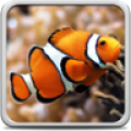 Aquarium Live Wallpaper 22.0