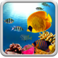 Coral Reef Live Wallpaper icon