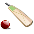 Cricket Live Score icon