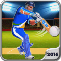 Cricket T20 2016 1.0