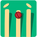 Cricket World Cup 2015 icon