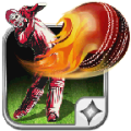 CricketBallBallanceT20 icon