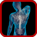 X-Ray Scanner icon