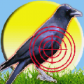 Crow Hunting 2015 icon