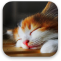 Cute icon