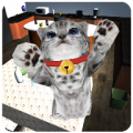 Cute cat simulator 14