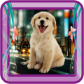 Cute Dog Photo Frame icon