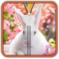 CuteBunnyZipperUnLock icon