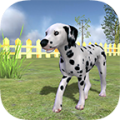 Dalmatian icon