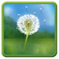 Dandelion Field Free Live Wallpaper icon